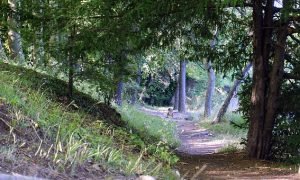 Do camino, senda